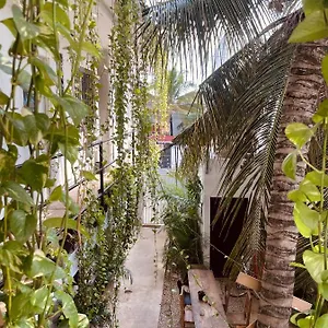 Anana Coliving Mexiko